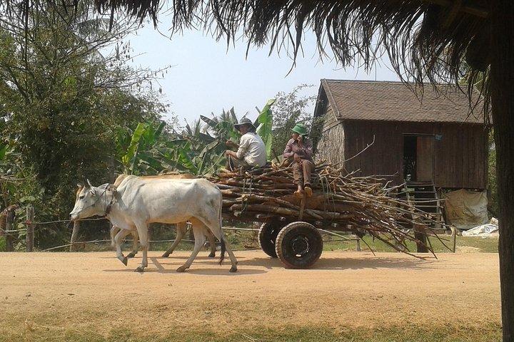 Siem Reap Countryside & Floating Village (Meychrey)