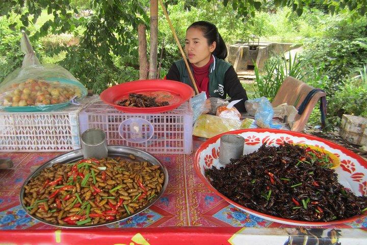 Siem Reap Countryside & Floating Village (Meychrey)