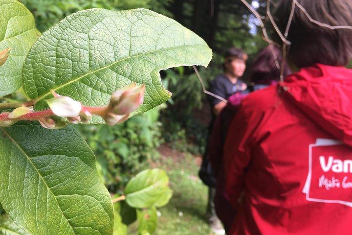 Talte skatte: Stanley Park Indigenous Walking Tour