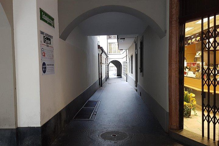 ベルン市内観光：スイス首都プライベートウォーキング半日ツアー