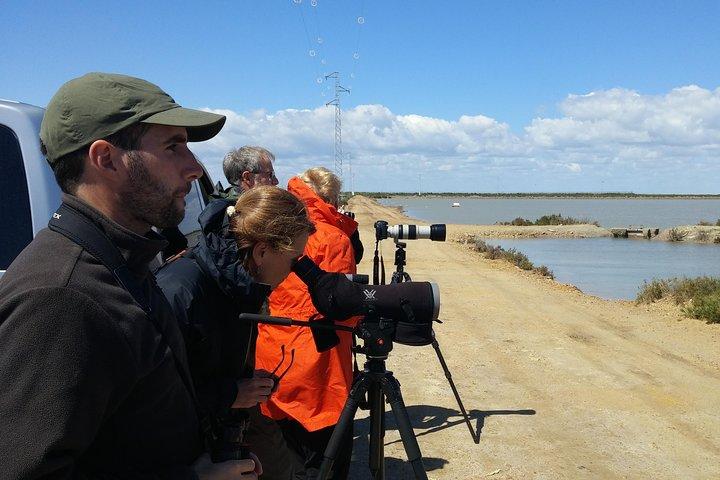 Dagtrip naar Doñana vanuit Sevilla