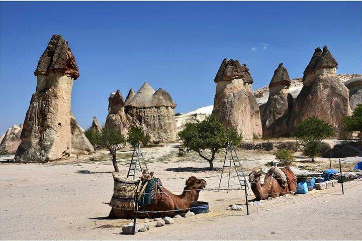 Excursion d'une journée en Cappadoce avec le musée en plein air de Göreme et les cheminées de fées