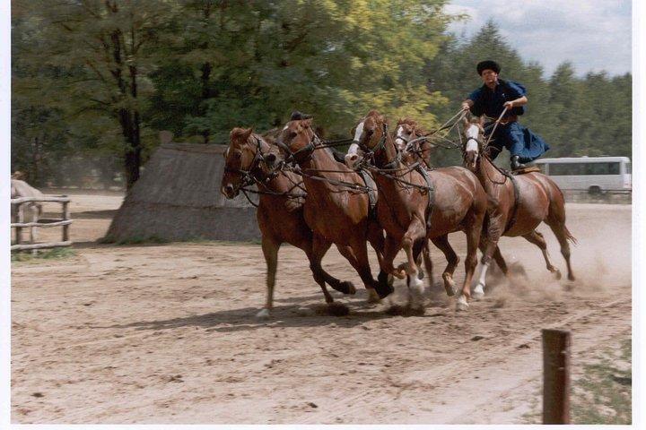 Budapeste Puszta Excursão de um dia para Kecskemet com show de cavalos e almoço