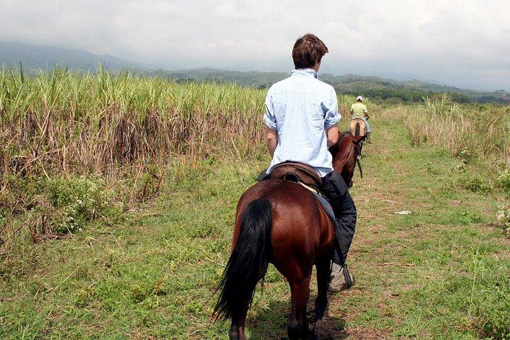 カリ：美しい風景や山々を乗馬