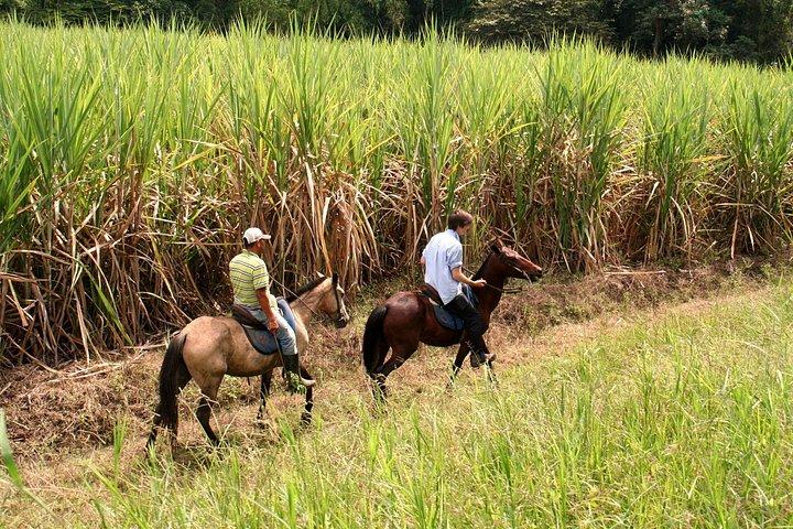 カリ：美しい風景や山々を乗馬