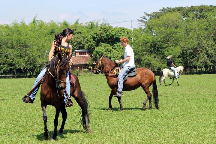 カリ：美しい風景や山々を乗馬