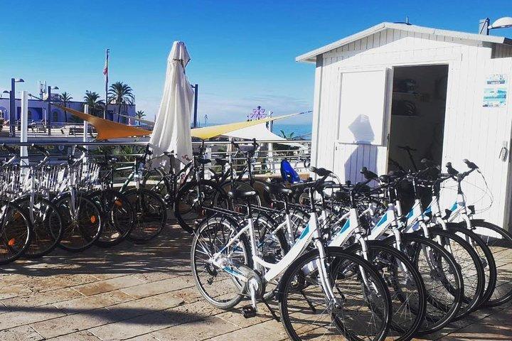 Tour della città in bicicletta Marbella