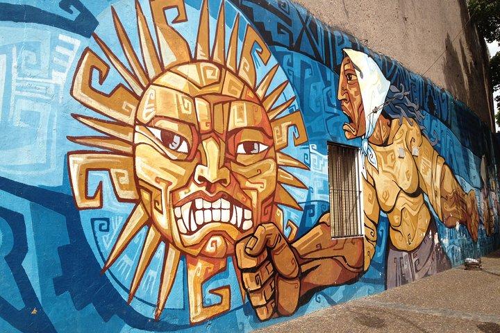 Graffiti- en straatkunsttour door Buenos Aires