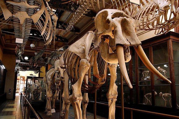 Discover La Plata: A Guided Architectural and Sightseeing Tour