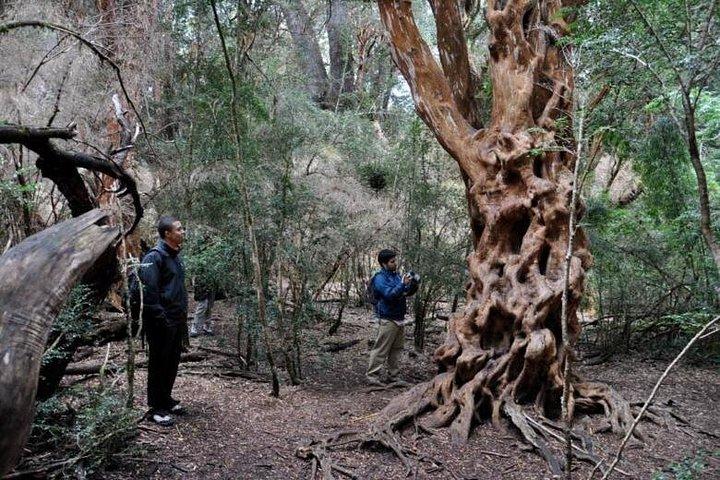 Private Manso River Lakes and Waterfalls Tour