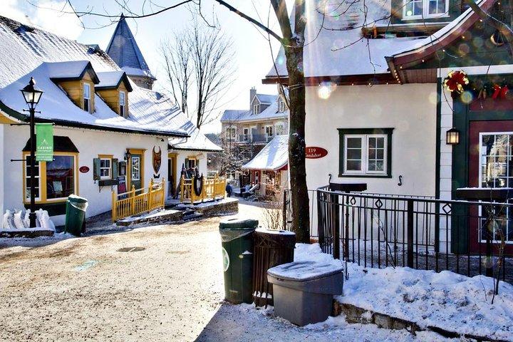 Excursion d'une journée dans les Laurentides, au départ de Montréal