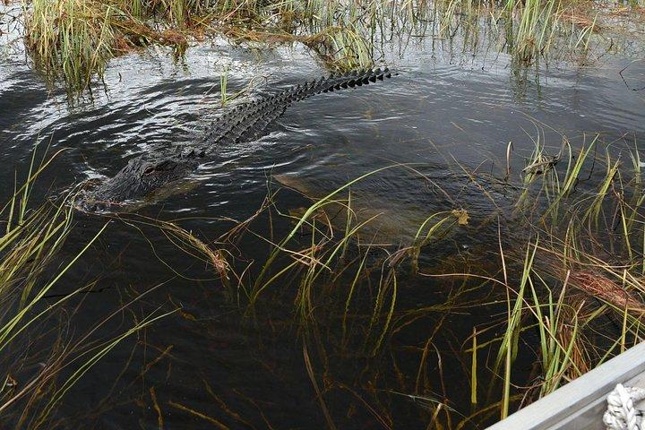 Florida Everglades Night Airboat Tour perto de Fort Lauderdale