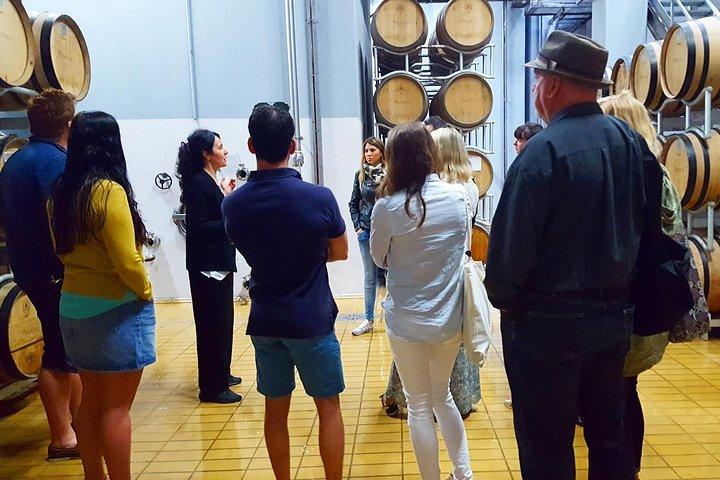 カリアリ：ランチ付きの終日ワインプライベート体験