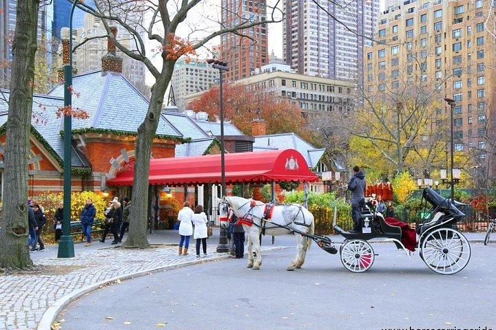 ニューヨーク市のセントラルパークスモールループでの馬車ツアー