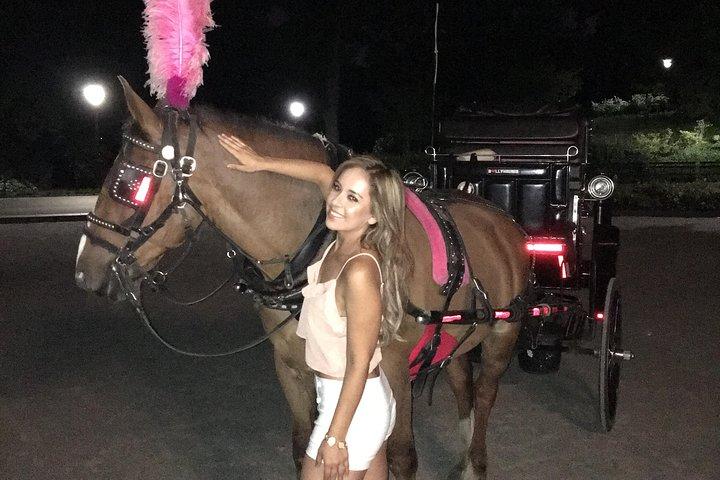 ニューヨーク市のセントラルパークスモールループでの馬車ツアー