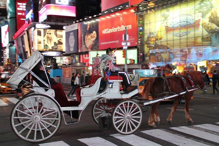 ニューヨーク市のセントラルパークスモールループでの馬車ツアー