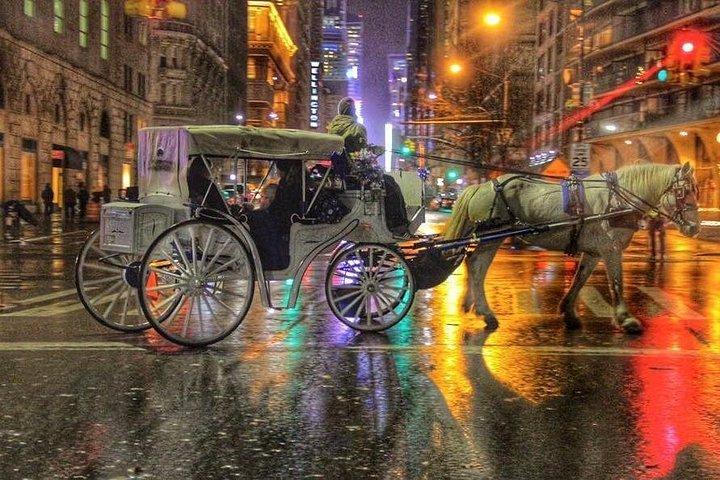 ニューヨーク市のセントラルパークスモールループでの馬車ツアー