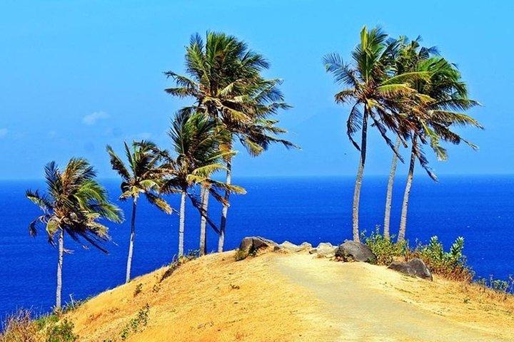 Tour de la cascade de Lombok avec forêt et colline: Tout inclus