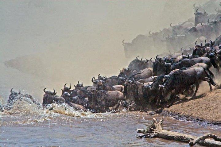 Kenya Safari Expedition 5 jours