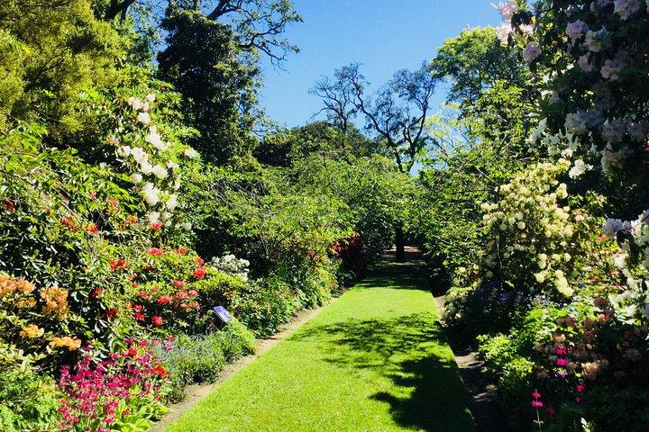 Excursion à terre : ville de Dunedin, péninsule d'Otago, jardins du château et visite d'Olveston