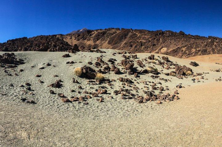 Monte Teide e Tenerife Norte com excursão privada com degustação de comida e vinho