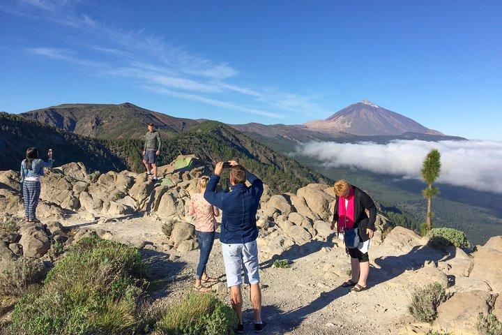 Monte Teide e Tenerife Norte com excursão privada com degustação de comida e vinho