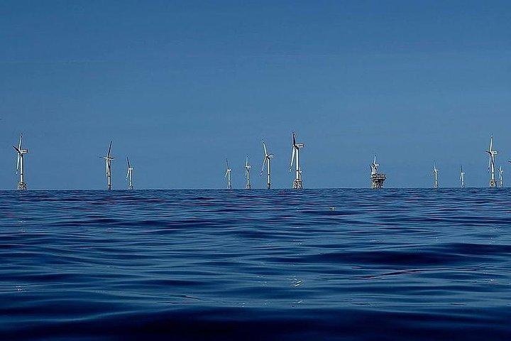 Sortie en mer inoubliable dans les parcs éoliens de la mer du Nord