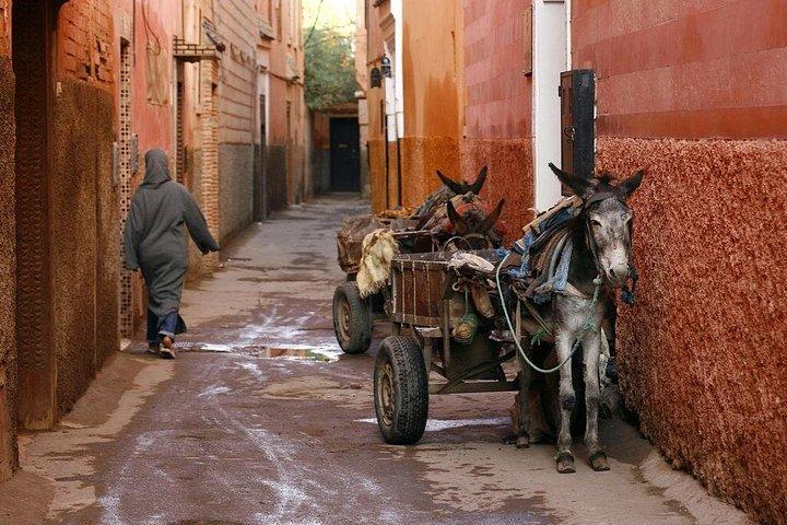 Marrakech: City Tour Guiado Privado de Meio Dia
