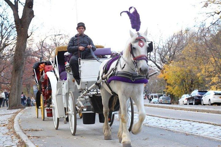 ニューヨーク市のセントラルパークスモールループでの馬車ツアー