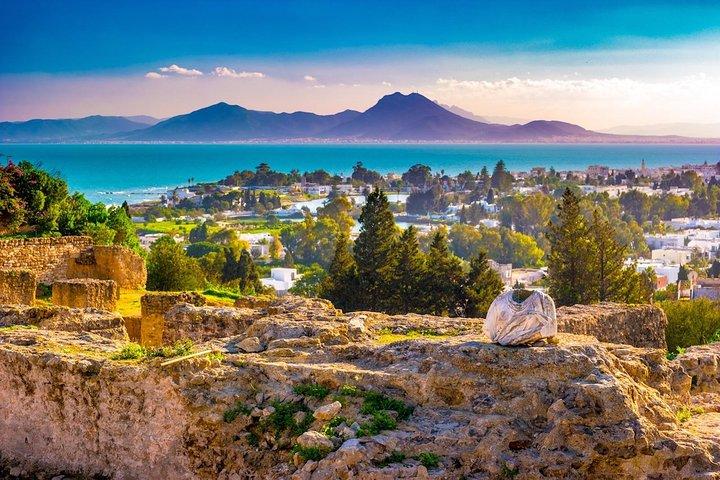 Túnez: Cartago, Museo del Bardo, Sidi Bou Said & Medina Tour en grupo