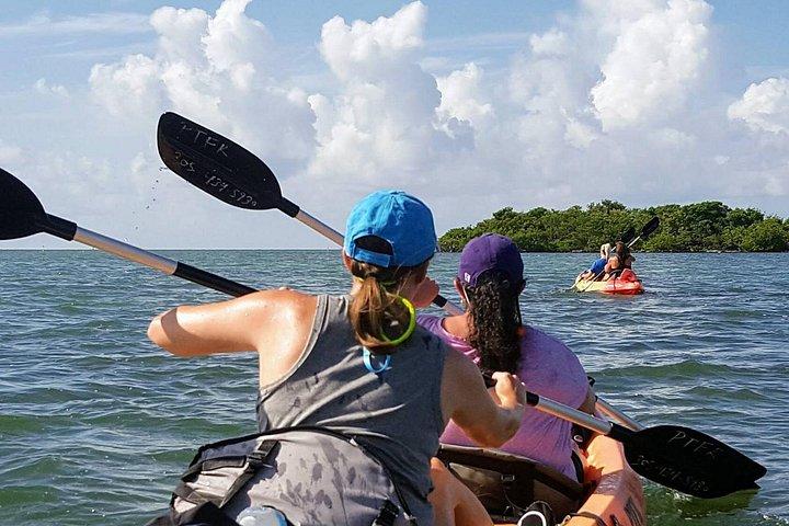 Florida Keys Eco Tour with Lunch and Transportation