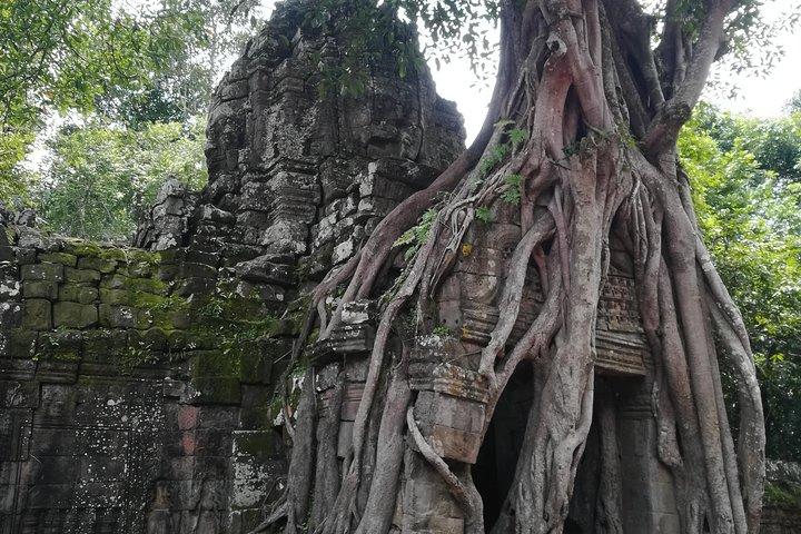 Tour de los templos del gran circuito de Angkor