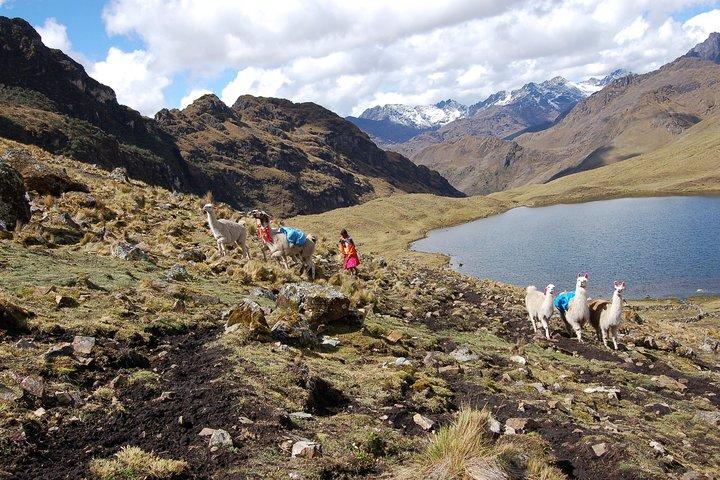 4 Day - Lares Trek naar Machu Picchu - groepsservice