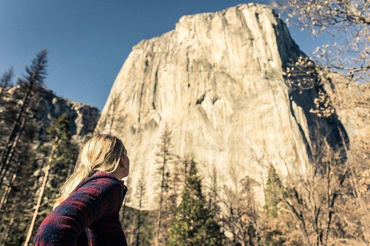 Visite du parc national de Yosemite et des séquoias géants au départ de San José