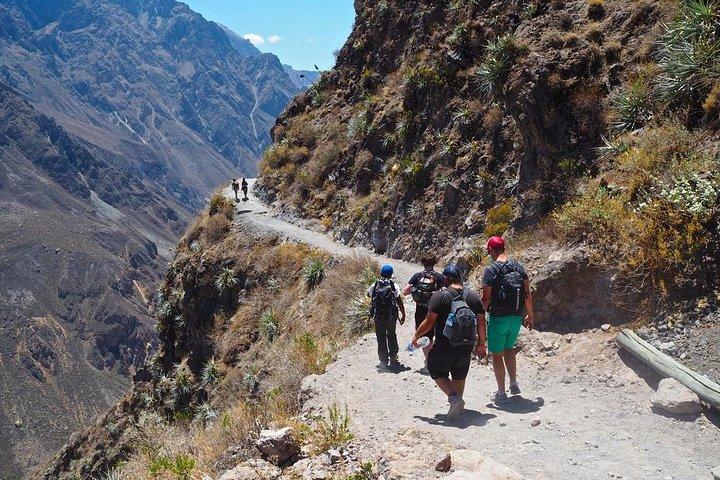 Trekking de 3 jours pour les routards au canyon de Colca au départ d'Arequipa