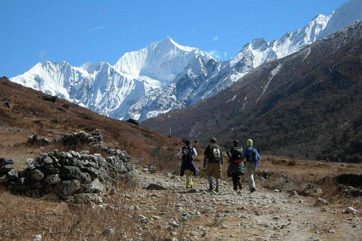 8 Days Langtang Valley Treks