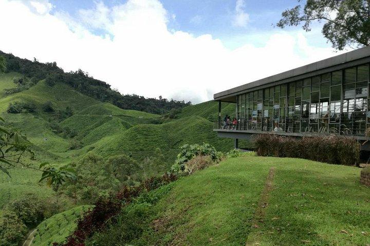Hoteller i nærheden af Cameron Highlands, Ipoh, Cave & Kellie's Castle