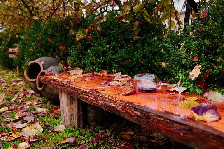 Dos días en la hermosa región vinícola con pensión completa Comidas y degustaciones de Tbilisi