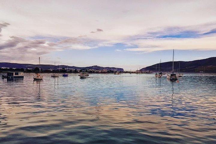 7-daagse Kaapstad, Wijnlanden, Tuinroute en Addo National Park
