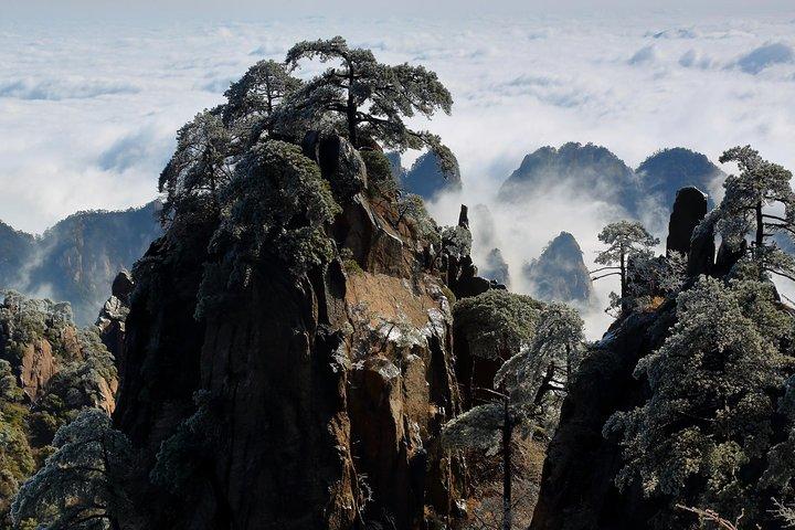 2 dagars privat resa till Mt Huangshan & Tongmo Village från Shanghai