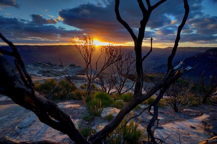 Ultieme Blue Mountains en Wildlife Tour