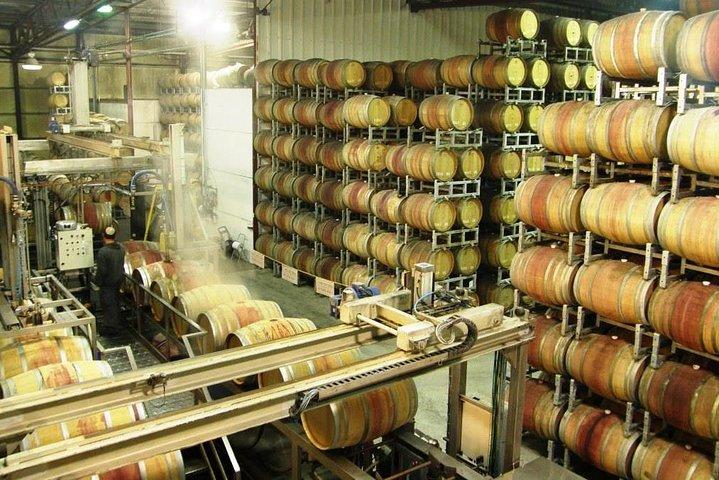 Private Weintour durch Nordisrael