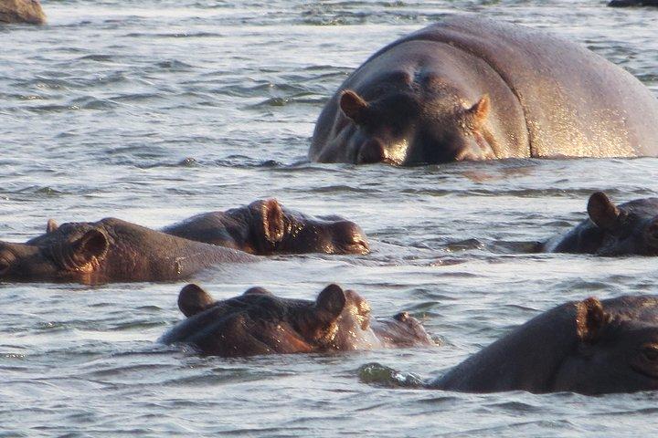 Hwange 2 notti Bush Camping e Safari
