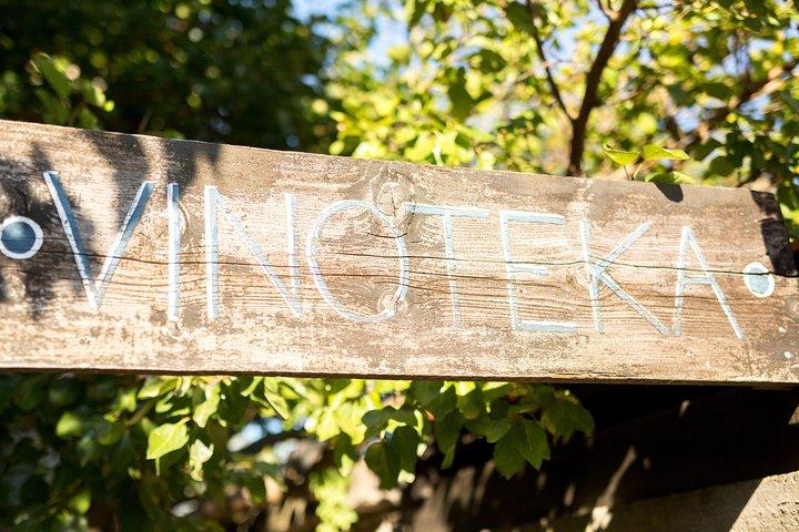 Wine Tasting & Winery Tours