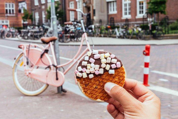 地元の人々とのアムステルダムのプライベート自転車ツアー：自転車と地元の軽食が含まれています