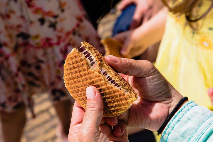 究極のザーンセ・スカンスのプライベート日帰り旅行