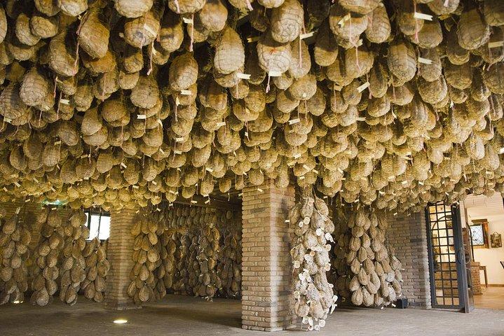 Van het Versailles van Colorno tot de culatello-ervaring in de vlakte van Parma