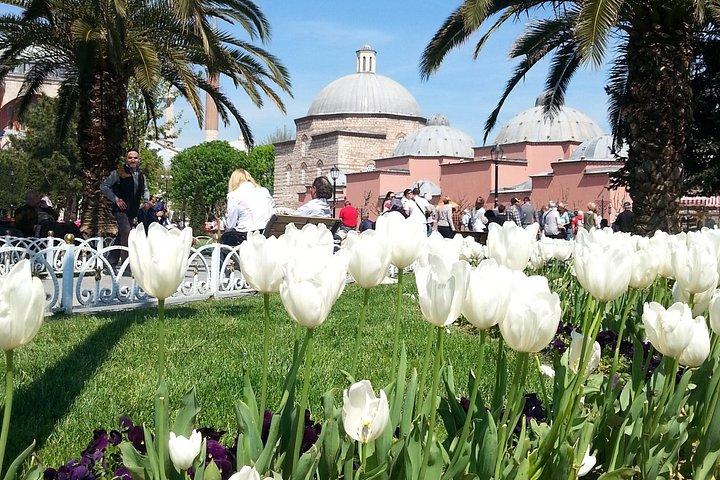 Istanbul Delights: A Journey Through Flavor and History