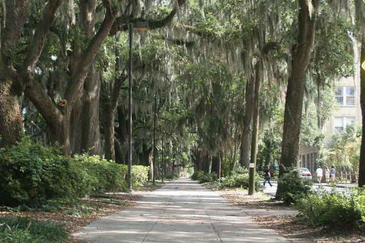Un paseo por el libro "Midnight in the Garden of Good and Evil"