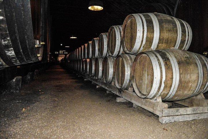 Excursion privée à Évora, au départ de Lisbonne